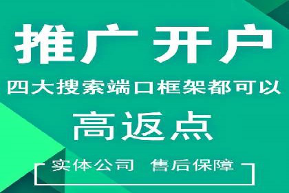 竞价排名案例：优化广告预算分配